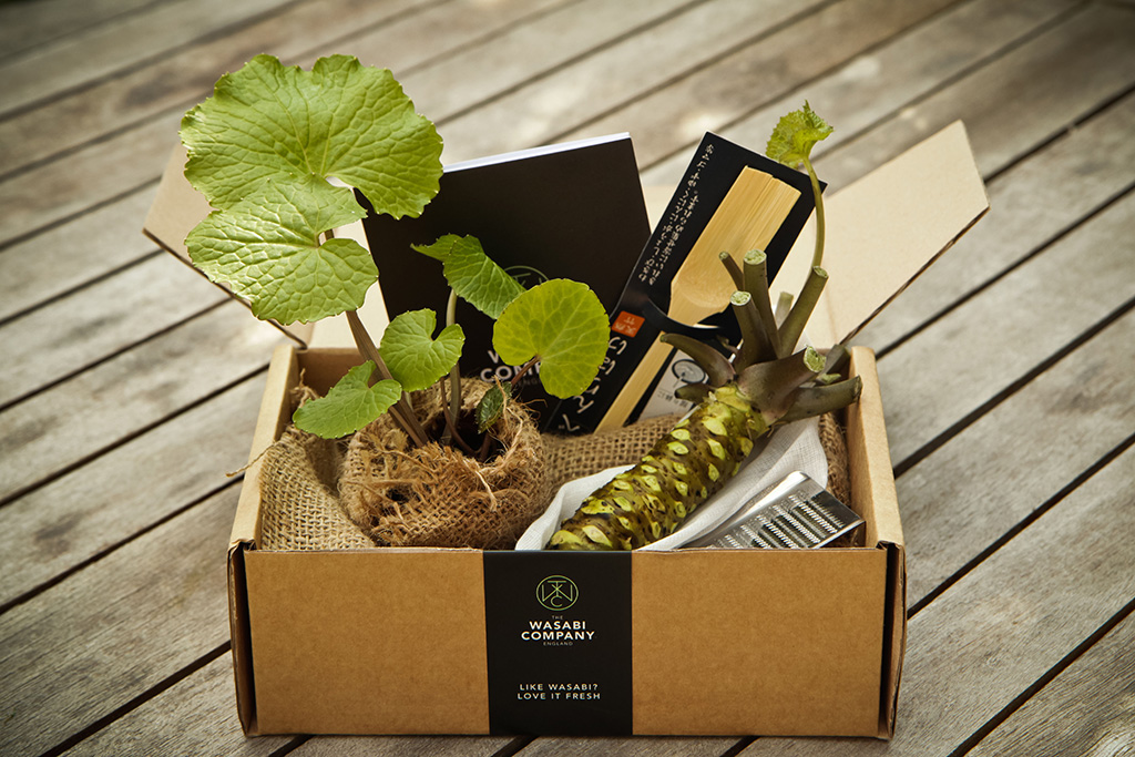Wasabi gift box